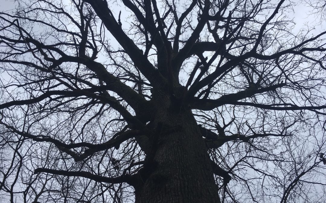 Körperhaltung und Achtsamkeit