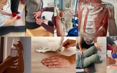 Die Entstehung der POSTURA-Ausbildung